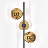 Ripoll Kogellampje, Staande lamp Goud, 3-lichts