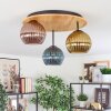 Koyoto Plafondlamp, Kogellampje Natuurlijke kleuren, Zwart, 3-lichts