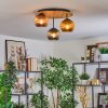 Koyoto Plafondlamp, Kogellampje Natuurlijke kleuren, Zwart, 3-lichts