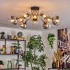 Koyoto Plafondlamp, Kogellampje 81 cm Amber, Duidelijk, Rookkleurig, 10-lichts