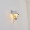 Naofe Wandlamp voor buiten, Wandlamp Wit, 1-licht