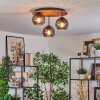 Koyoto Plafondlamp, Kogellampje Natuurlijke kleuren, Zwart, 3-lichts