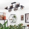 Koyoto Plafondlamp, Kogellampje Duidelijk, Rookkleurig, 10-lichts