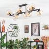 Koyoto Plafondlamp, Kogellampje Amber, Duidelijk, 10-lichts