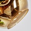 Ripoll Plafondlamp, Kogellampje Chroom, Goud, Koperkleurig, Rookkleurig, 6-lichts