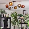 Ripoll Plafondlamp, Kogellampje Chroom, Goud, Koperkleurig, Rookkleurig, 6-lichts