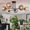 Ripoll Plafondlamp, Kogellampje Amber, Duidelijk, Rookkleurig, 6-lichts