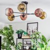 Ripoll Plafondlamp, Kogellampje Goud, Duidelijk, Koperkleurig, 6-lichts