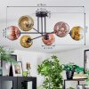 Ripoll Plafondlamp, Kogellampje Goud, Duidelijk, Koperkleurig, 6-lichts