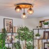 Koyoto Plafondlamp, Kogellampje Natuurlijke kleuren, Zwart, 3-lichts