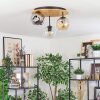 Ripoll Plafondlamp, Kogellampje Natuurlijke kleuren, Zwart, 3-lichts