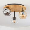 Ripoll Plafondlamp, Kogellampje Natuurlijke kleuren, Zwart, 3-lichts