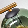 Ripoll Plafondlamp, Kogellampje Goud, Zwart, 3-lichts