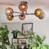 Ripoll Plafondlamp, Kogellampje Chroom, Goud, Duidelijk, Koperkleurig, Rookkleurig, 6-lichts