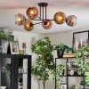 Ripoll Plafondlamp, Kogellampje Chroom, Goud, Duidelijk, Koperkleurig, Rookkleurig, 6-lichts