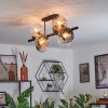Koyoto Plafondlamp, Kogellampje Amber, Duidelijk, Rookkleurig, 8-lichts