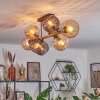 Koyoto Plafondlamp, Kogellampje Amber, Rookkleurig, 8-lichts