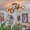 Koyoto Plafondlamp, Kogellampje Amber, Rookkleurig, 8-lichts