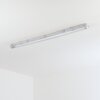 Ilena Buitenlicht, Badkamerlamp, Plafondlamp LED Grijs, 1-licht