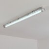 Ilena Buitenlicht, Badkamerlamp, Plafondlamp LED Grijs, 1-licht