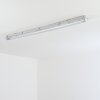Ilena Buitenlicht, Badkamerlamp, Plafondlamp LED Grijs, 1-licht