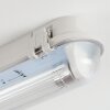 Ilena Plafondlamp voor buiten, Buitenlicht, Badkamerlamp, Bouw spotlight, Plafondlamp LED Grijs, 1-licht