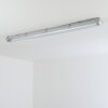 Ilena Buitenlicht, Badkamerlamp, Plafondlamp LED Grijs, 1-licht