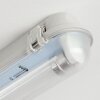 Ilena Buitenlicht, Badkamerlamp, Plafondlamp LED Grijs, 1-licht