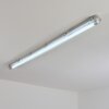 Ilena Buitenlicht, Badkamerlamp, Plafondlamp LED Grijs, 1-licht