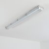 Ilena Plafondlamp voor buiten, Buitenlicht, Badkamerlamp, Bouw spotlight, Plafondlamp LED Grijs, 1-licht