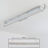 Ilena Plafondlamp voor buiten, Buitenlicht, Badkamerlamp, Bouw spotlight, Plafondlamp LED Grijs, 1-licht