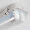Ilena Plafondlamp voor buiten, Buitenlicht, Badkamerlamp, Bouw spotlight, Plafondlamp LED Grijs, 1-licht