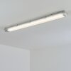 Ilena Plafondlamp voor buiten, Buitenlicht, Badkamerlamp, Bouw spotlight, Plafondlamp LED Grijs, 1-licht