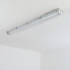 Ilena Plafondlamp voor buiten, Buitenlicht, Badkamerlamp, Bouw spotlight, Plafondlamp LED Grijs, 1-licht