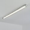 Ilena Buitenlicht, Badkamerlamp, Plafondlamp LED Grijs, 1-licht