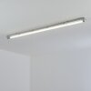 Ilena Buitenlicht, Badkamerlamp, Plafondlamp LED Grijs, 1-licht