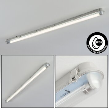 Ilena Plafondlamp voor buiten, Buitenlicht, Badkamerlamp, Bouw spotlight, Plafondlamp LED Grijs, 1-licht
