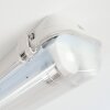 Ilena Buitenlicht, Badkamerlamp, Plafondlamp LED Grijs, 1-licht
