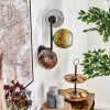 Ripoll Kogellampje, Wandlamp Goud, Duidelijk, Koperkleurig, Rookkleurig, 3-lichts
