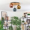 Ripoll Plafondlamp, Kogellampje Natuurlijke kleuren, Zwart, 3-lichts