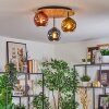 Ripoll Plafondlamp, Kogellampje Natuurlijke kleuren, Zwart, 3-lichts