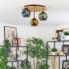Ripoll Plafondlamp, Kogellampje Natuurlijke kleuren, Zwart, 3-lichts