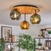 Ripoll Plafondlamp, Kogellampje Natuurlijke kleuren, Zwart, 3-lichts