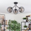 Koyoto Plafondlamp, Kogellampje Rookkleurig, 3-lichts