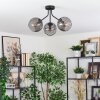 Koyoto Plafondlamp, Kogellampje Rookkleurig, 3-lichts