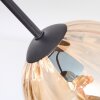 Koyoto Plafondlamp, Kogellampje Amber, 3-lichts