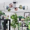 Gastor Plafondlamp, Kogellampje 50 cm Blauw, Groen, Duidelijk, Koperkleurig, 6-lichts