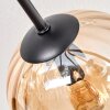 Koyoto Plafondlamp, Kogellampje 85 cm Amber, Duidelijk, Rookkleurig, 8-lichts