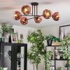 Ripoll Plafondlamp, Kogellampje Duidelijk, Koperkleurig, 6-lichts