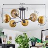 Koyoto Plafondlamp, Kogellampje 78 cm Goud, Duidelijk, 6-lichts